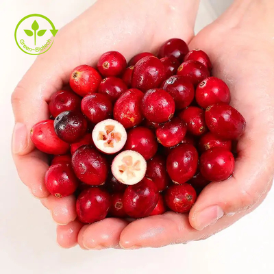 Vaccinium macrocarpon organico dell'estratto della frutta del mirtillo rosso dell'antociano 25% della polvere dell'estratto del mirtillo rosso di 4:1