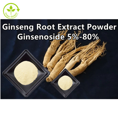 L'estratto di erbe della radice del ginseng spolverizza Ginsenoside 5% - 80%