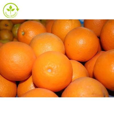 Polvere dell'esperidina di Diosmin 98% dell'estratto di citrus aurantium del commestibile