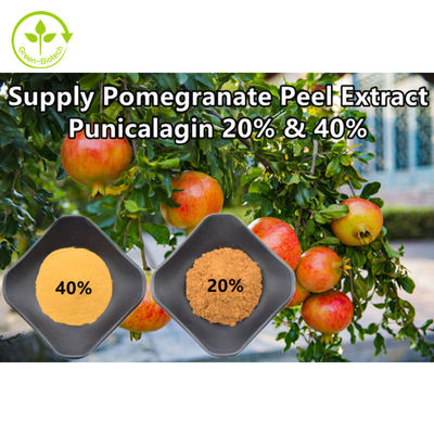 L'estratto naturale puro del melograno spolverizza Punicalagin CAS 65995-63-3