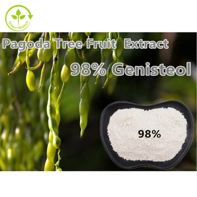Massimo di Japonica della nepeta della polvere dell'estratto della pianta di Fructus Sophorae di genisteina di 98%