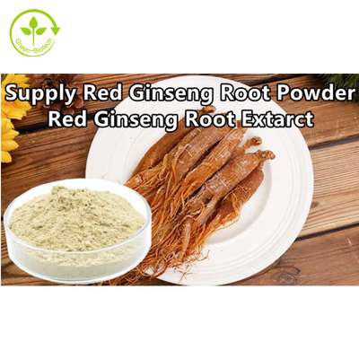 Polvere rossa dell'estratto della radice del ginseng della polvere rossa coreana naturale del ginseng del commestibile