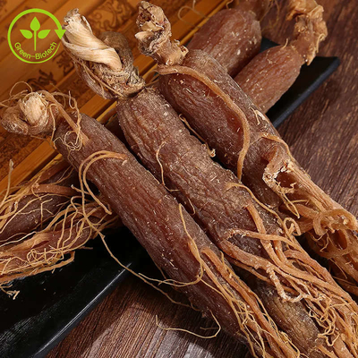 Polvere rossa dell'estratto della radice del ginseng della polvere rossa coreana naturale del ginseng del commestibile