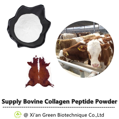 L'estratto della pianta di HPLC spolverizza la polvere bovina idrolizzata del peptide del collagene