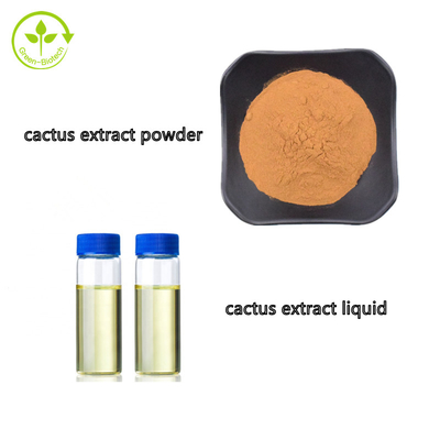 Liquido cosmetico dell'estratto della frutta del cactus di Hoodia del grado all'ingrosso
