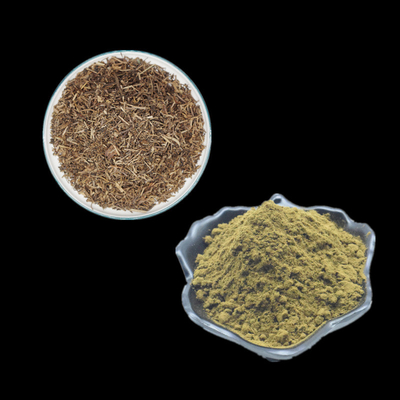 La polvere di erbe di Turkesterone della polvere dell'estratto dell'estratto di Turkestanica del Ajuga completa 2% 10% 20%
