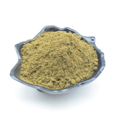 Il migliore Ajuga Turkestanica dei prezzi estrae la polvere pura di Turkesterone 2% 10% Turkesterone