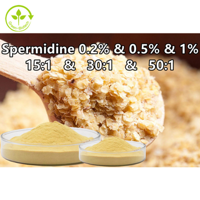 Spermidina dell'integratore alimentare della polvere della spermina dell'estratto del germe di grano 0,1% 0,5% 1%