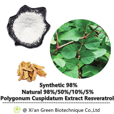 Estratto Tran Resveratrol Powder della pianta 99% per il prodotto sano di cura