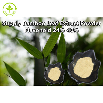 Il flavonoide di bambù organico dell'estratto della foglia spolverizza 40%
