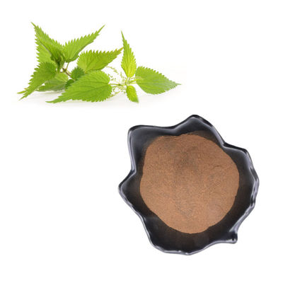 Polvere naturale 3,4-Divanillyltetrahydrofuran dell'estratto 95% della radice dell'ortica