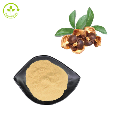 Saponina Camellia Japonica Seed Extract Powder del tè di 60% per l'additivo alimentare