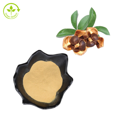 Polvere naturale delle saponine del tè di 100% Camellia Seed Extract 95%