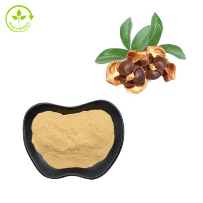 La saponina naturale dell'estratto del seme del tè spolverizza 90% per il cosmetico