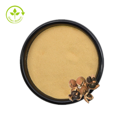 La saponina di Camellia Sinensis Seed Extract Tea spolverizza 50% 60% 70% 80% 85% 90% 95% 98%