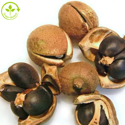 La saponina di Camellia Sinensis Seed Extract Tea spolverizza 50% 60% 70% 80% 85% 90% 95% 98%
