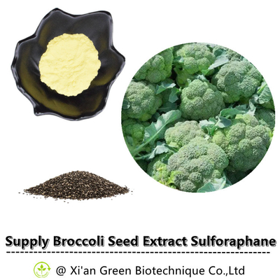 Polvere di CAS 21414-41-5 13% Glucoraphanin del glucosinolato di Sulforaphane dell'estratto del seme dei broccoli