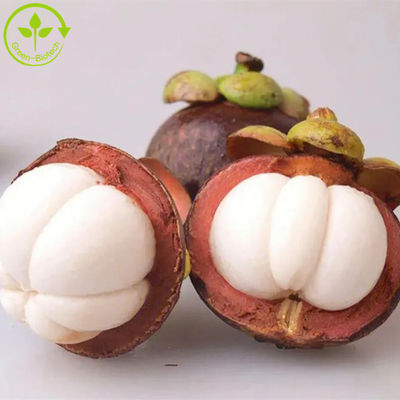 Alpha Mangostin polvere naturale dell'estratto della frutta del mangostano degli estratti della pianta di 95% - di 10%
