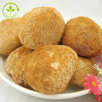 Leoni organici Mane Mushrooms Mycelium Extract Powder per tè/Matcha/caffè