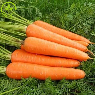 Additivi alimentari che colorano fermento Beta Carotene Powder 10%