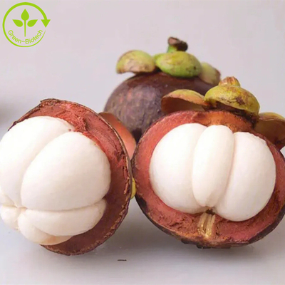 Polvere naturale pura dell'estratto del mangostano p.e-alpha-mangostin 10%-90% Alpha Mangostin dell'estratto del mangostano