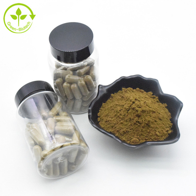 L'estratto di Turkestanica del Ajuga dell'estratto della pianta spolverizza le capsule di 10% 500mg/60caps/Bottle Turkesterone