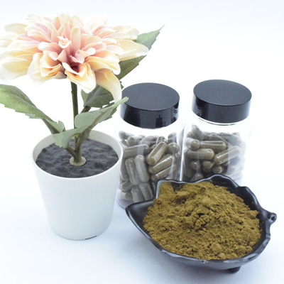 L'estratto di Turkestanica del Ajuga dell'estratto della pianta spolverizza le capsule di 40% 500mg/60caps/Bottle Turkesterone