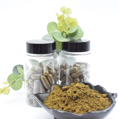 Il Ajuga di erbe Turkestanica dell'estratto estrae la polvere di Turkesterone