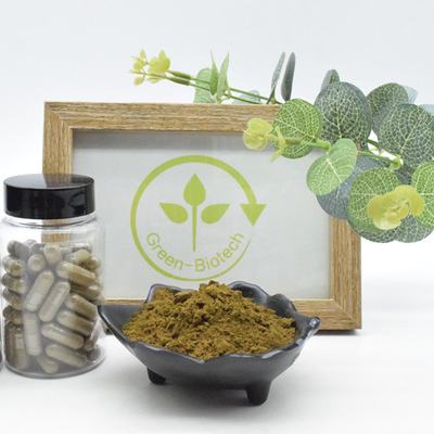 Estratto naturale di Turkestanica del Ajuga della polvere 2% 10% 40% di 100% Turkesterone