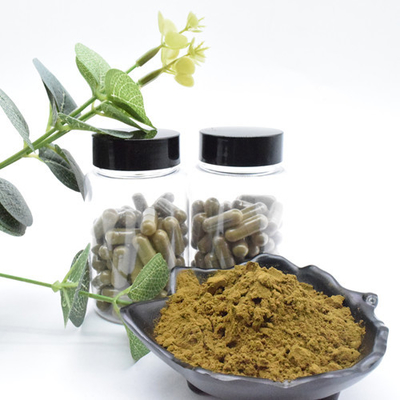 Il Ajuga superiore Turkesterone spolverizza 10 che Turkesterone estrae l'estratto della pianta di Turkesterone