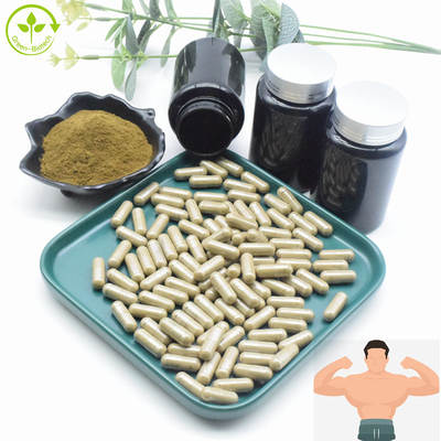 Polvere in serie all'ingrosso di Turkesterone dell'estratto dell'estratto 2% 10% CAS 41451-87-0 Turkesterone di Turkestanica del Ajuga
