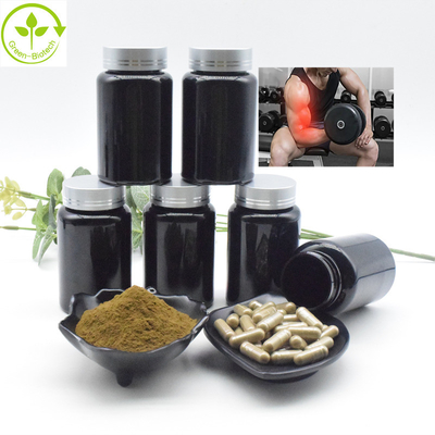 Polvere in serie all'ingrosso di Turkesterone dell'estratto dell'estratto 2% 10% CAS 41451-87-0 Turkesterone di Turkestanica del Ajuga
