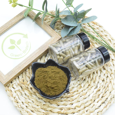 Il Ajuga Turkestanica dell'integratore alimentare estrae la polvere di 10% 20% Turkesterone