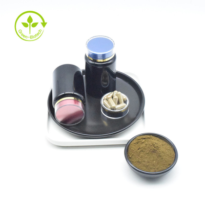Il Ajuga puro Turkestanica dell'etichetta privata estrae la polvere di 10% Turkesterone