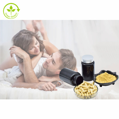 Polvere 1% 3% 5% 10% Tongkat Ali Extract di Tongkat Ali Capsules 500mg/60caps/Bottle Eurycomanone dell'estratto della pianta