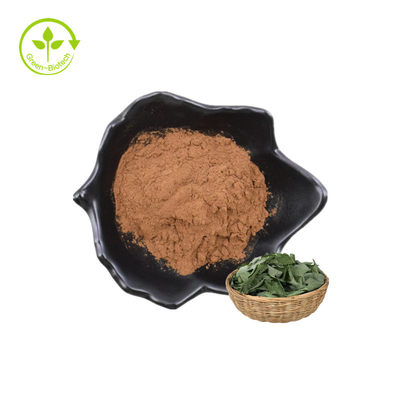 Migliore polvere di vendita di epimedium P.E. 20% Lcariin dell'estratto della pianta con HPLC