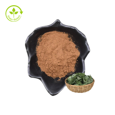Migliore polvere di vendita di epimedium P.E. 20% Lcariin dell'estratto della pianta con HPLC
