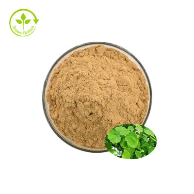 L'epimedium corneo del grado dell'alimentazione della polvere dell'estratto dell'erbaccia della capra mescola l'estratto