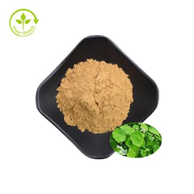 Estratto di epimedium di Icariin 50% 60% 80% 98% di alta qualità