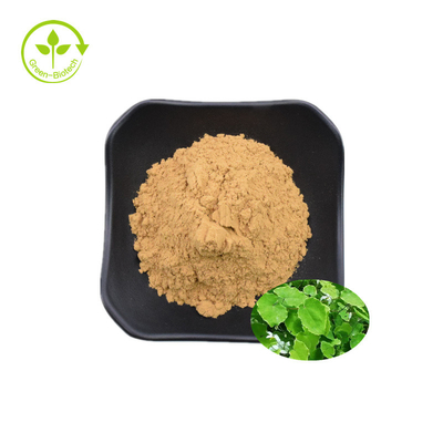 Estratto di epimedium di Icariin 50% 60% 80% 98% di alta qualità