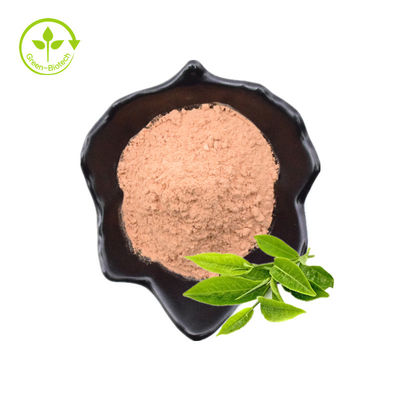 L'epicatechina pura dell'estratto del tè verde del rifornimento in serie della fabbrica spolverizza l'estratto del tè verde del polifenolo del tè di 98% Egcg