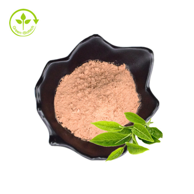 Estratto fresco di 100% e della pianta organico naturale dall'estratto della pianta della foglia per la polvere dell'estratto del tè verde di perdita di peso