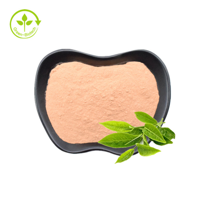 Polvere naturale 30% di L-teanina dell'estratto 20% del tè verde