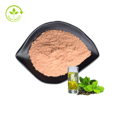 Estratto del tè verde della polvere dell'estratto del tè verde della catechina dell'estratto 80% del tè verde del rifornimento della fabbrica
