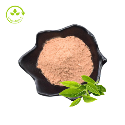 Estratto bianco del tè del tè di 100% dell'estratto della polvere del tè verde dell'estratto dell'estratto istantaneo naturale del tè nero