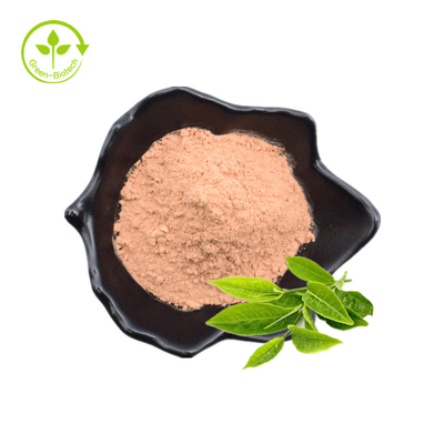 Estratto bianco del tè del tè di 100% dell'estratto della polvere del tè verde dell'estratto dell'estratto istantaneo naturale del tè nero