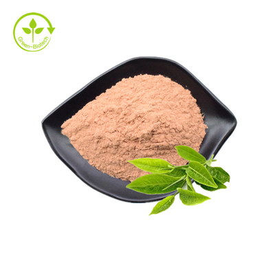 Il tè verde puro naturale organico dell'etichetta privata estrae la polvere di Matcha