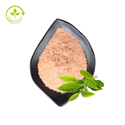 Il tè verde puro naturale organico dell'etichetta privata estrae la polvere di Matcha