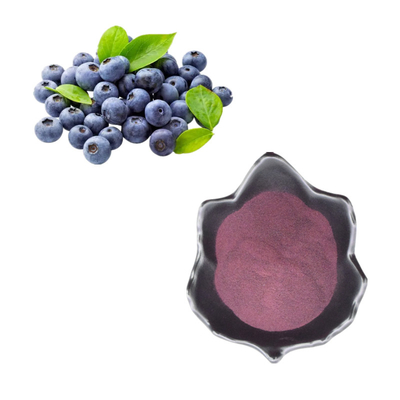 Polvere dell'estratto del mirtillo/antociano naturali del mirtillo