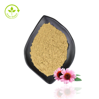 Estratto di echinacea di alta qualità Purpurea Estratto di echinacea organico in polvere